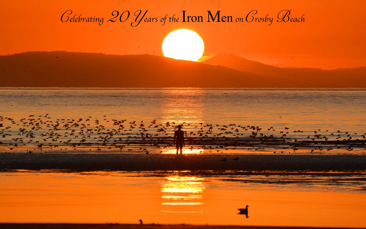 RonDaviesPhoto's tweet image. A golden sky over Crosby beach, the setting sun slides behind the slopes of distant Mount Siabod, Snowdonia on a perfect winter evening. A group of knot take to the wing and surround an iron man, disturbed from their feeding by the swift incoming tide. #IronMenCrosby #IronMenat20