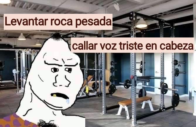 simonvlc's tweet image. Esta mañana mi cuerpo luchaba con todas sus fuerzas para evitar ir al gimnasio.
Luego he recordado el meme más útil de la historia de internet.