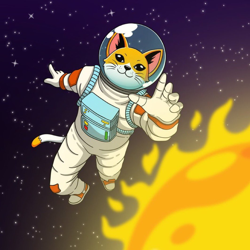 <a href="/sunpumpmeme/">SunPump</a> Nice outfit! 🌞
Our astronauts are floating in space. ☀️🐱
