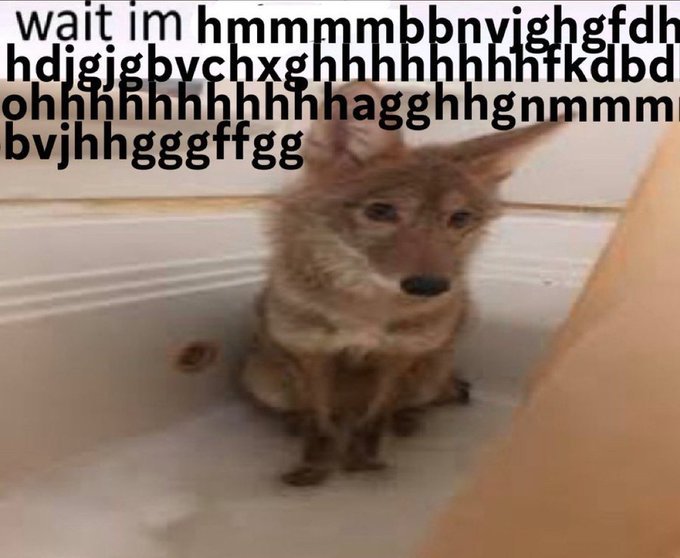Hychie_'s tweet image. 