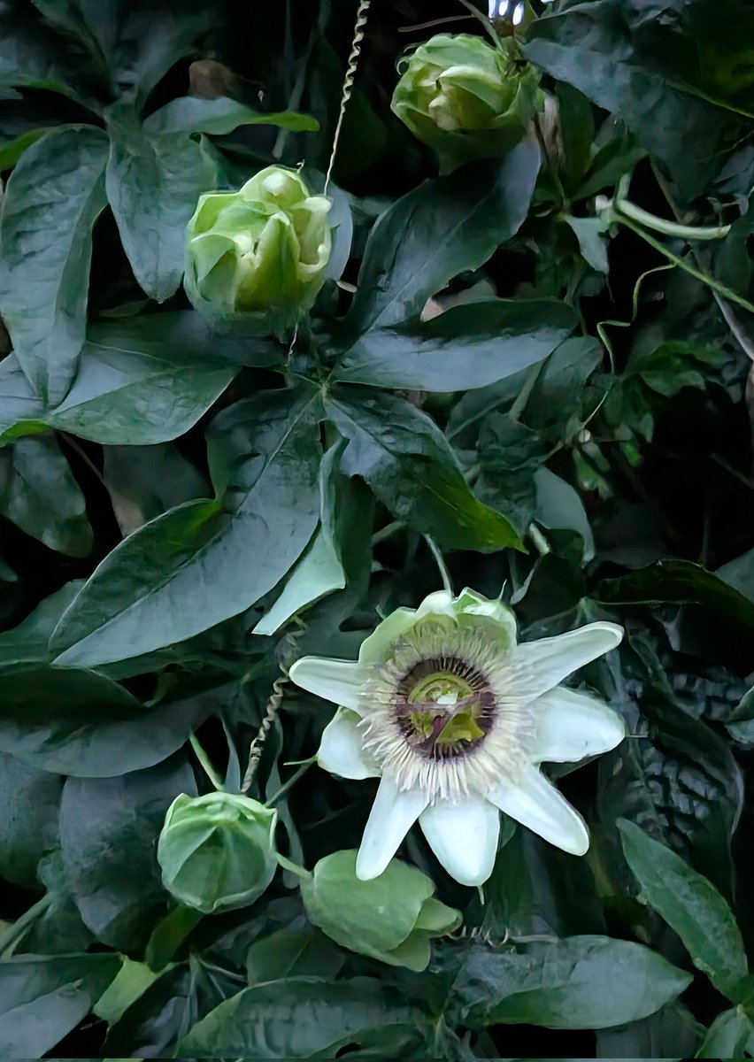 Liz Cullinane (@liznangel3) on Twitter photo The current weather in Curraghbeg, Co. Cork is 15°C, feels like 14°C, w/ a moderate 6 m/s breeze from the S/W & no precipitation. 
Curraghbeg,  An Chora Bheag, is in electoral division of Ovens, in Civil Parish of Athnowen, in the Barony of East Muskerry, in  County Cork
#Cork The current weather in Curraghbeg, Co. Cork is 15°C, feels like 14°C, w/ a moderate 6 m/s breeze from the S/W & no precipitation. 
Curraghbeg,  An Chora Bheag, is in electoral division of Ovens, in Civil Parish of Athnowen, in the Barony of East Muskerry, in  County Cork
#Cork