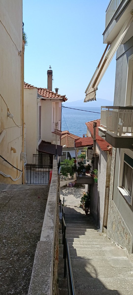 Where Do You Want To Go Today?
#Kavala_Old_City