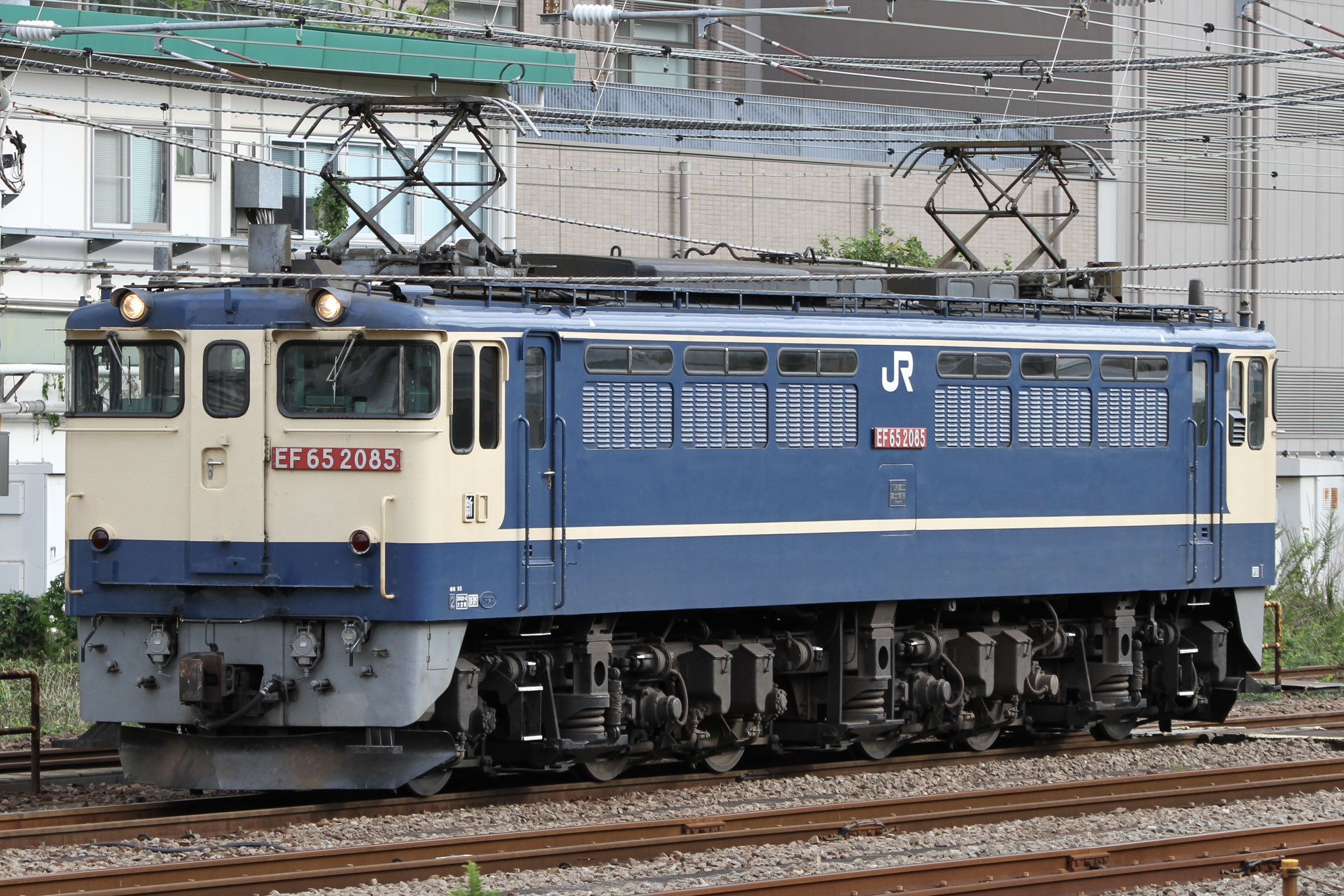 つっちー@十段 (@Taikonotsuchii) / X