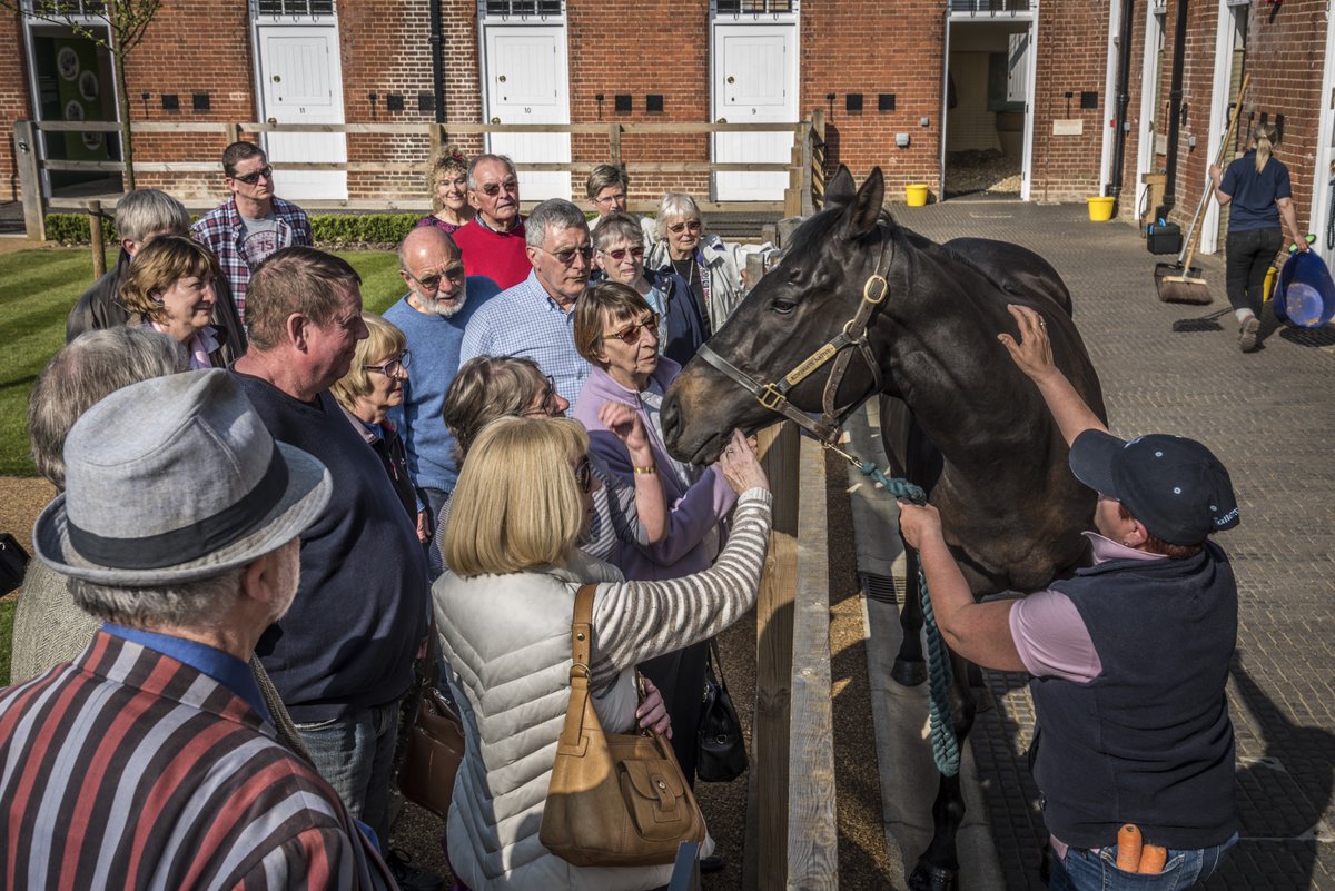 BuryStEdBeyond's tweet image. The horse racing season is in full gallop in Newmarket – the home of British horse racing and just 20 minutes from Bury St Edmunds!
Beyond the track, discover a unique and fascinating town with something for everyone!
👉 visit-burystedmunds.co.uk/beyond-bury/ne…