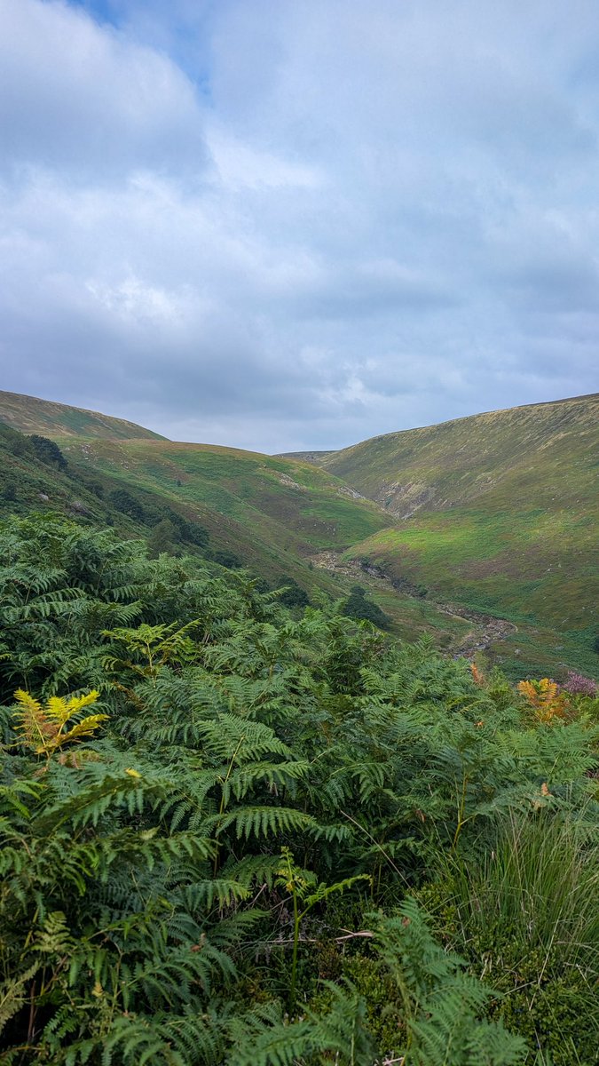ABTheAdventure's tweet image. I finally made it beyond Kinder Scout along the Pennine Way!
And it is beautiful!!
#PennineWay