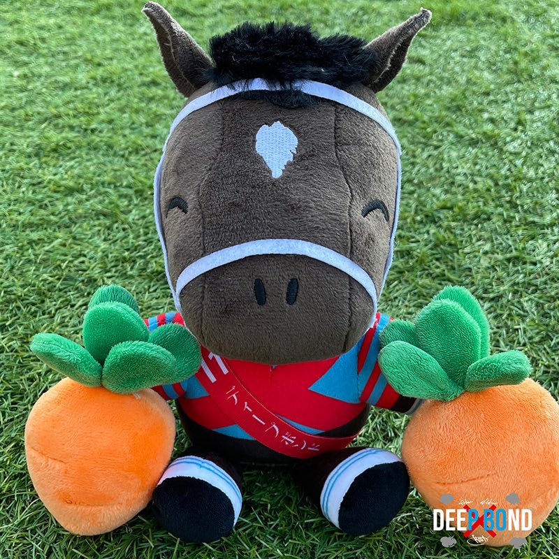 netkeibashop's tweet image. /
#netkeibaショップ 7月プレゼントキャンペーンパート2🎁🐎🎁🐎
\
#ディープボンド のぬいぐるみ(中サイズ)を1名様にプレゼント🎁🧸😉
shop.netkeiba.com/view/item/0000…
【応募方法】
⚠️①このアカウントをフォロー
⚠️②この投稿リポスト
詳細は第三画像を確認ください‼️