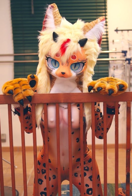 乱虎🐅 tweet media
