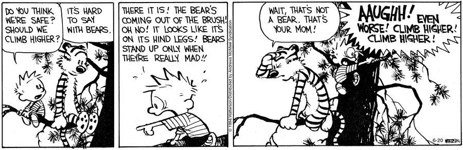 Confirmed: maternal wrath trumps wildlife.
#CalvinandHobbes #MomVsBear