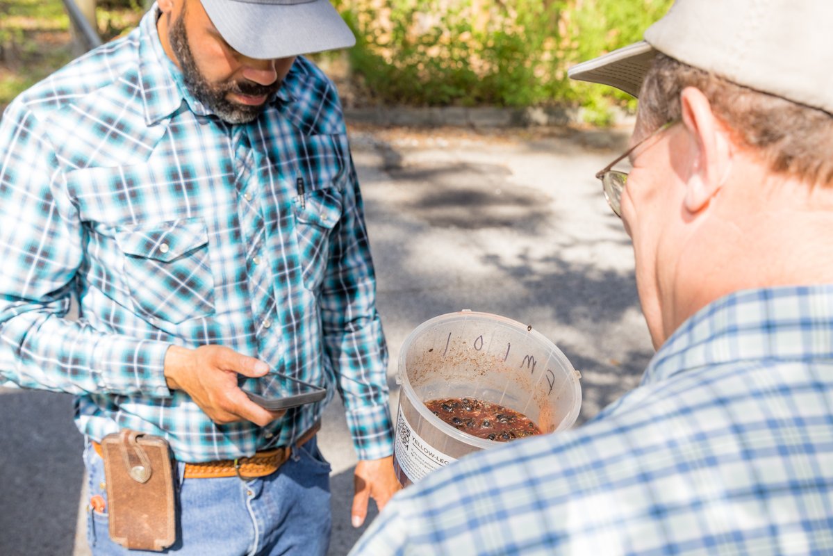 GaDeptAg's tweet image. PPD is looking for help with Yellow-legged Hornet eradication efforts. This is a great opportunity for college students wanting hands-on experience! 

Some of What You&apos;ll Do:
✅ Deploy traps
✅ Record trap data
✅ Check traps
✅ Replace bait

Apply now ➡️ bit.ly/4f1RhII.