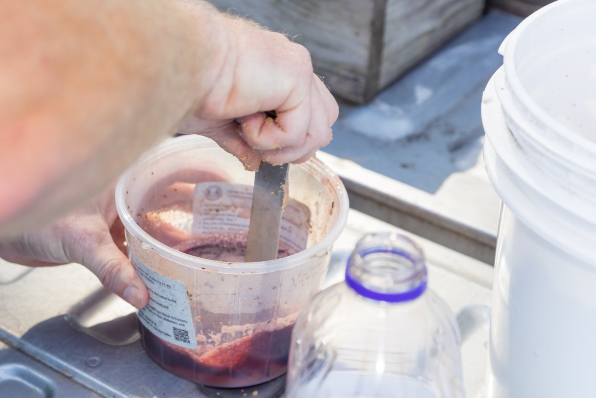 GaDeptAg's tweet image. PPD is looking for help with Yellow-legged Hornet eradication efforts. This is a great opportunity for college students wanting hands-on experience! 

Some of What You&apos;ll Do:
✅ Deploy traps
✅ Record trap data
✅ Check traps
✅ Replace bait

Apply now ➡️ bit.ly/4f1RhII.