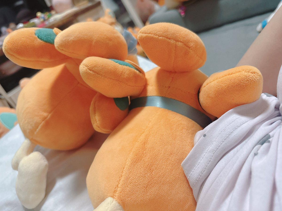pamochan_home2's tweet image. 横になっていると布団の沈みでﾊﾟﾓﾁｬﾝたちが傾いて寄り添ってくれるのが可愛く、いつも幸せになる