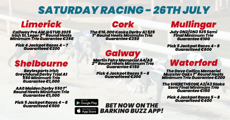 Barking Buzz (GRI) (@barkingbuzz) on Twitter photo 🏟️ 𝐒𝐀𝐓𝐔𝐑𝐃𝐀𝐘 𝐓𝐎𝐓𝐄 𝐆𝐔𝐀𝐑𝐀𝐍𝐓𝐄𝐄𝐒 🏟️
🏆 The 2025 Irish St. Leger 1st Round Heats <a href="/LimkGreyhound/">Limerick Greyhound Stadium</a>
⚡ Pick 4 & Pick 5 Jackpot Races
💶 FREE Bet for NEW customers
𝗕𝗘𝗧 𝗡𝗢𝗪 on #BarkingBuzz App
Or visit barkingbuzz.grireland.ie 🏟️ 𝐒𝐀𝐓𝐔𝐑𝐃𝐀𝐘 𝐓𝐎𝐓𝐄 𝐆𝐔𝐀𝐑𝐀𝐍𝐓𝐄𝐄𝐒 🏟️
🏆 The 2025 Irish St. Leger 1st Round Heats <a href="/LimkGreyhound/">Limerick Greyhound Stadium</a>
⚡ Pick 4 & Pick 5 Jackpot Races
💶 FREE Bet for NEW customers
𝗕𝗘𝗧 𝗡𝗢𝗪 on #BarkingBuzz App
Or visit barkingbuzz.grireland.ie