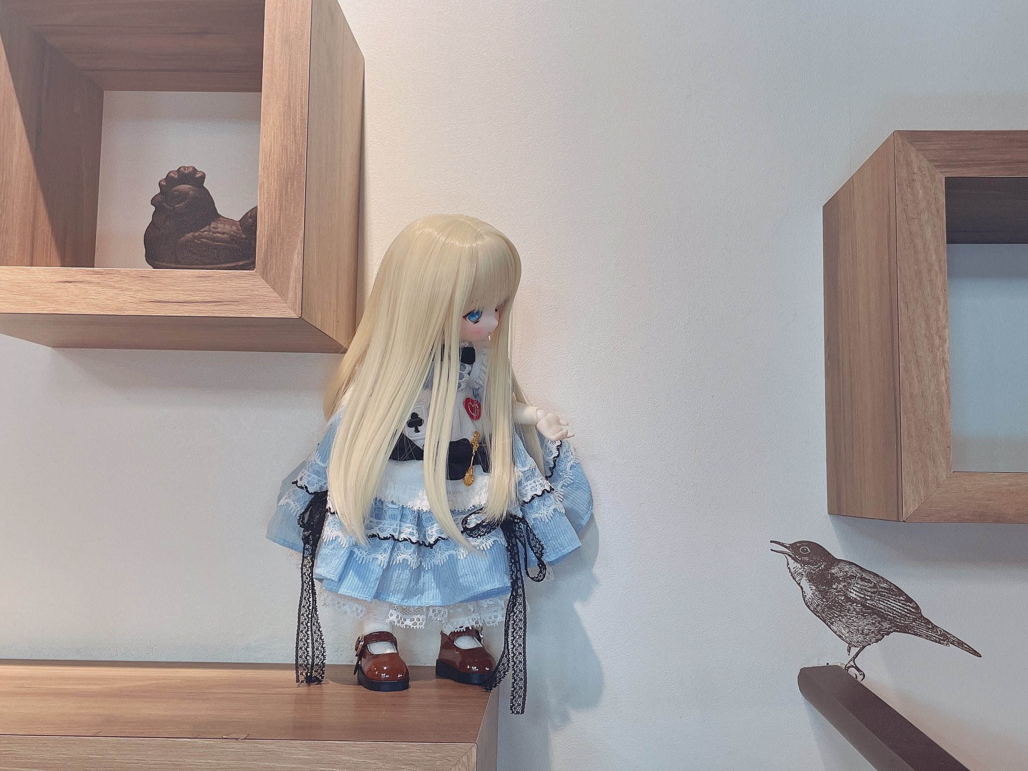 MikoMiko♡さん　成犬 Яёg 𝐍𝐞𝐱𝐭▷みけこん5.5(7/26) (@regret6766) / X