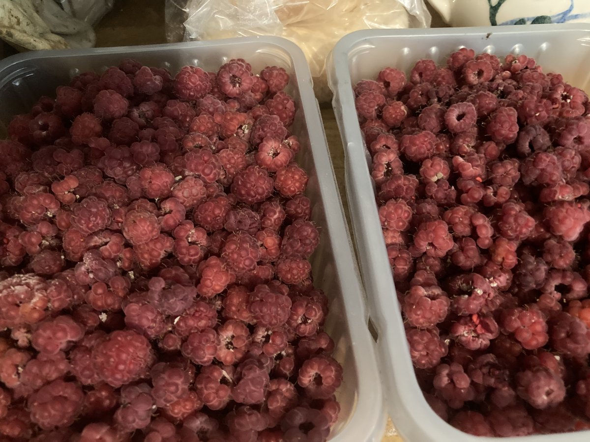 World Jam Festival & Awards tweet media