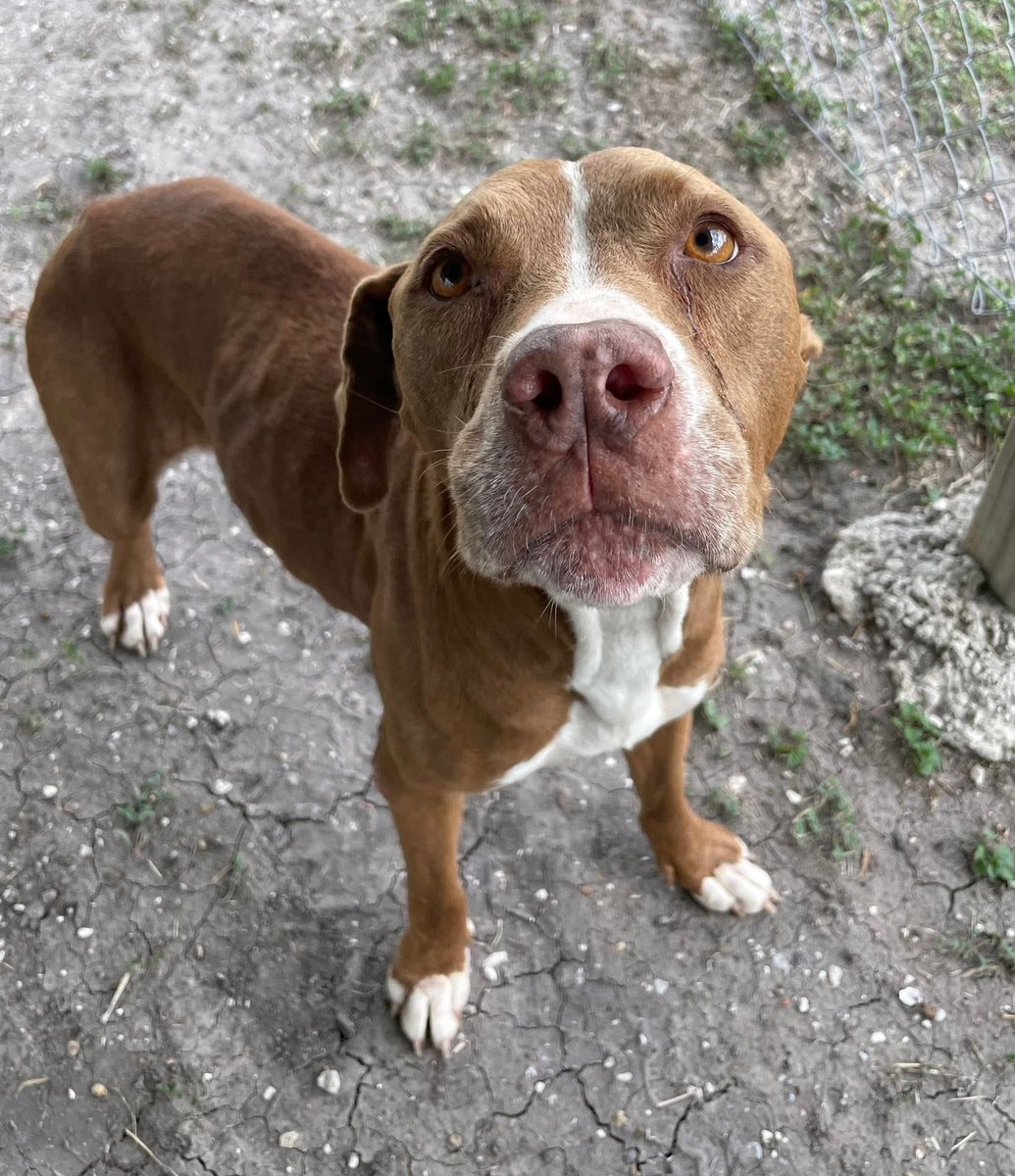 Lisa Brabson. tweet media