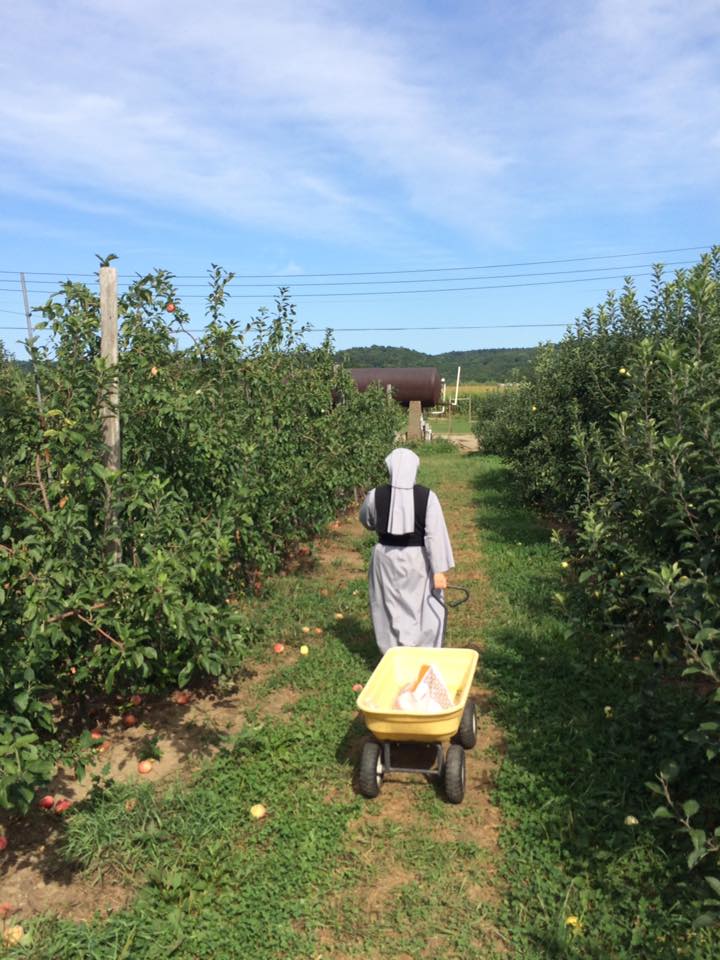 A Religious Sister of the Maronite Servants of Christ the Light <a href="/MaroniteServant/">Maronite Servants</a> in Dartmouth, Massachusetts pulling a wagon through an orchard. Photo from the Sisters' Facebook page at facebook.com/MaroniteServan….