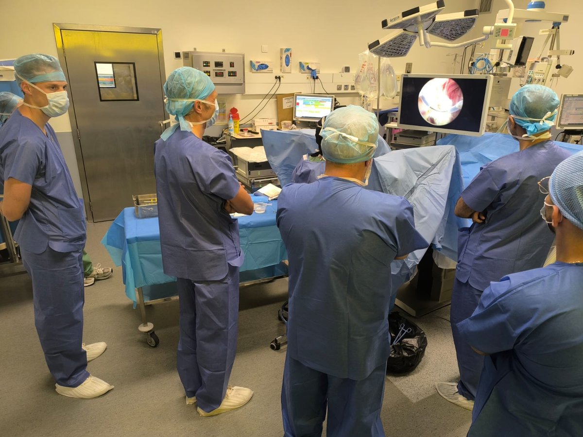 LamideyNoury's tweet photo. Another successful #PlasmaLEP enucleation workshop at CHU de Lille with Dr. Martin LORETTE!
95g & 55g prostates treated with ease.
Thanks to our partners in Lebanon & Netherlands for joining!
#Urology #Enucleation #LamideyNoury #ProstateCare #Innovation https://t.co/jqwtmPO38K
