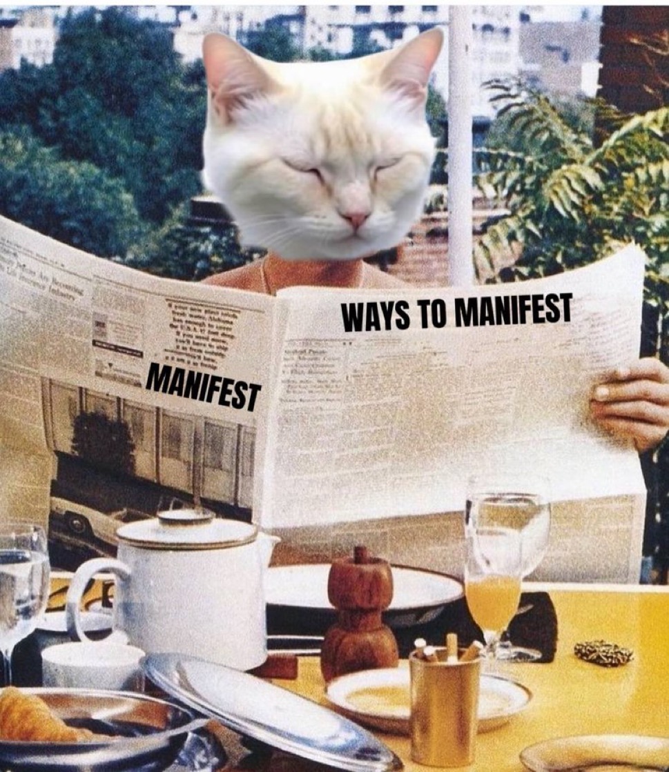 manifest tweet media