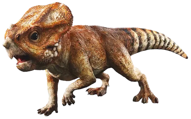 knight_Steve_'s tweet image. I've seen people say Dolores the Aquilops in Jurassic World Rebirth should be a Protoceratops instead or even Psittacosaurus. But does her design really look that Protoceratops like?