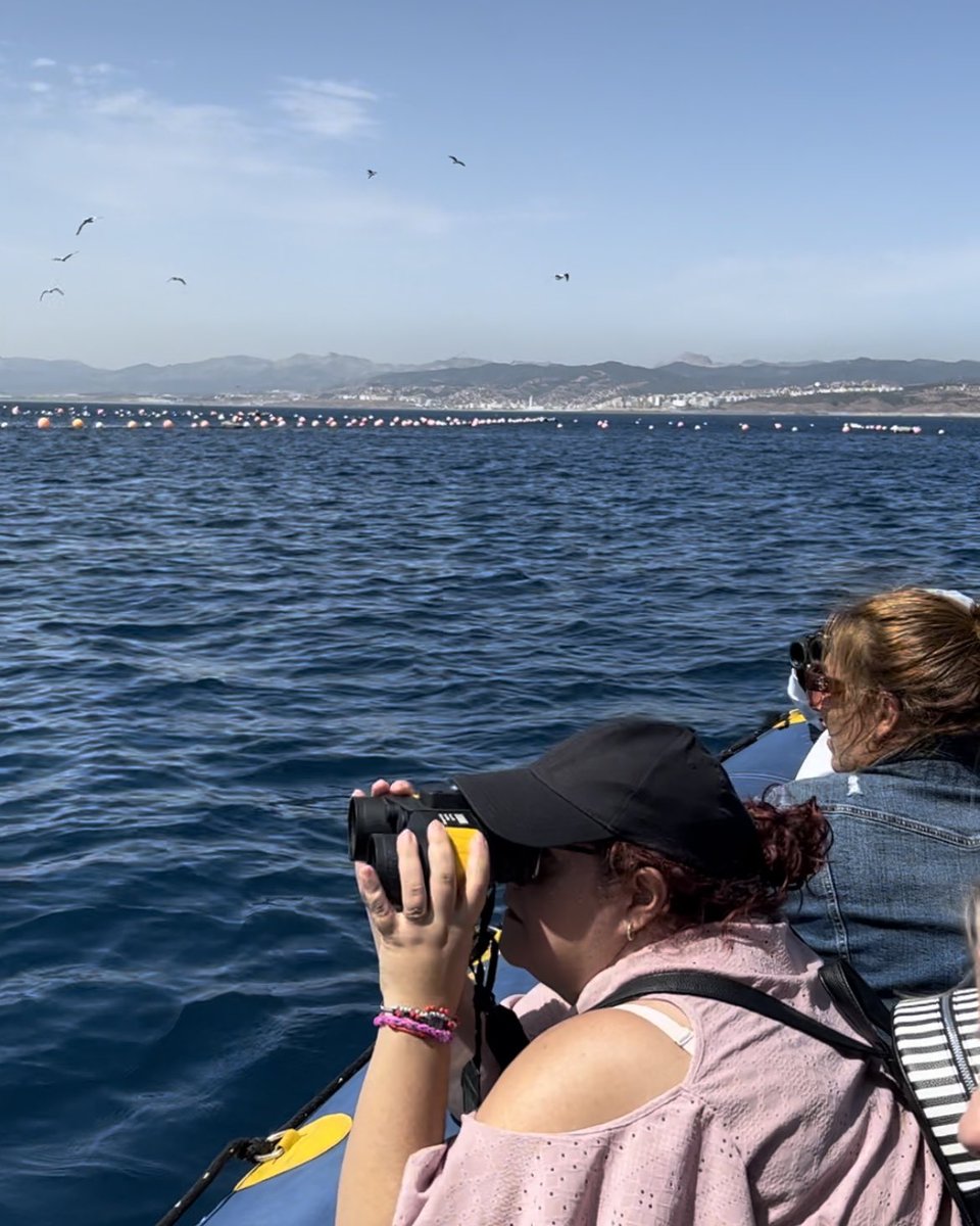 Hoy se ha realizado el taller “Identificación de Cetáceos” junto a la <a href="/apceuta/">Autoridad Portuaria de Ceuta - Port of Ceuta</a> desde embarcación, con motivo del Día Mundial de las Ballenas y los Delfines (23 Julio), esta actividad forma parte del proyecto #MuseoAbierto para dar a conocer el medio marino ceutí.