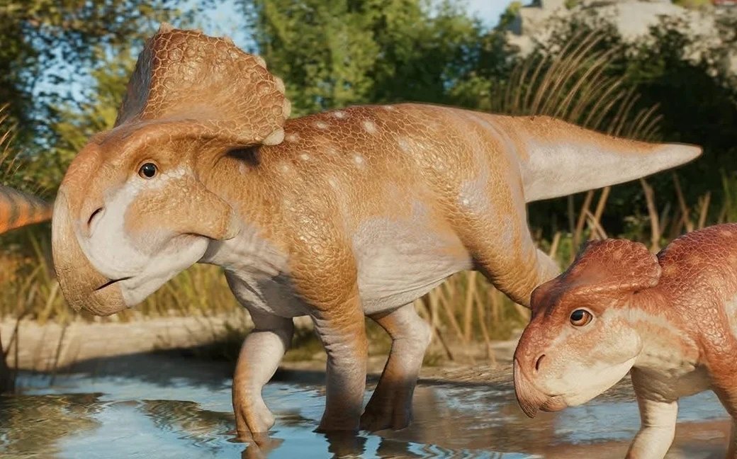 knight_Steve_'s tweet image. I've seen people say Dolores the Aquilops in Jurassic World Rebirth should be a Protoceratops instead or even Psittacosaurus. But does her design really look that Protoceratops like?