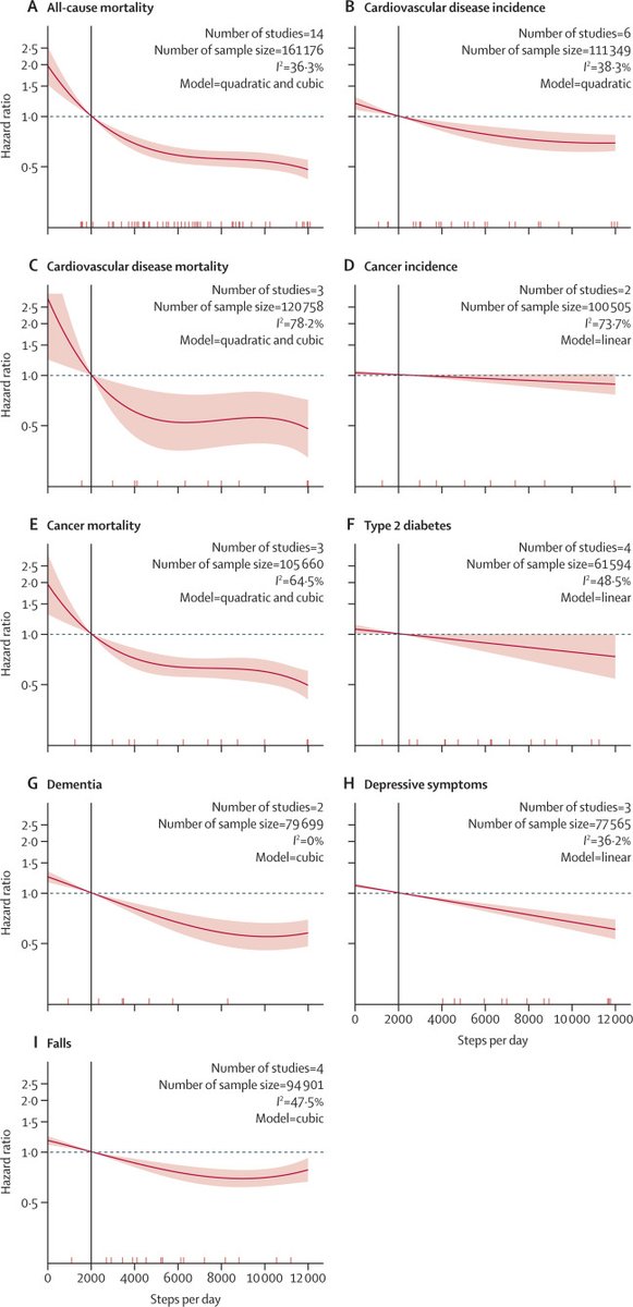 _MCRicardo_'s tweet image. Daily steps &amp; health outcomes in adults
People who walk 7,000 steps/day have a 47% lower risk of dying prematurely than those who walk only 2,000 steps, &amp; also provide additional protection against heart disease, cancer, &amp; dementia.
thelancet.com/journals/lanpu… @HealthyFellow