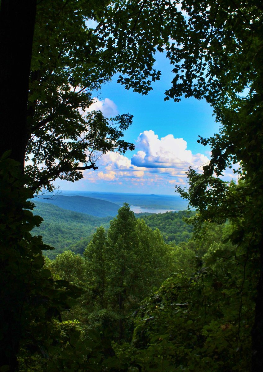 Demeter_Erinia's tweet image. It’s not what you look at what matters
It’s what you see
Have a lovely day ✨💕🍀