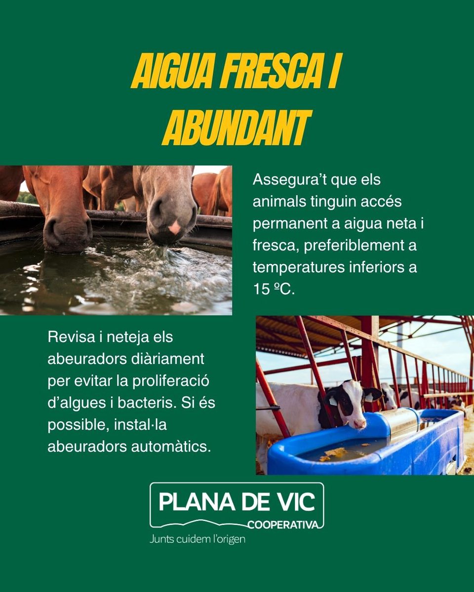 Plana de Vic tweet media