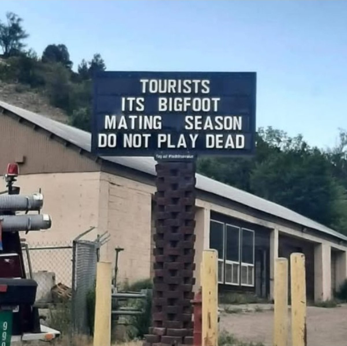 I have seen many warnings in my line of work.
But this one? This one lives rent-free in the part of my brain that screams during sleep paralysis.

Bigfoot Mating Season is now canon in the Veilwalkers threat model.

#TheHollowing #CryptidSafetyTips #Veilwalkers #DoNotPlayDead