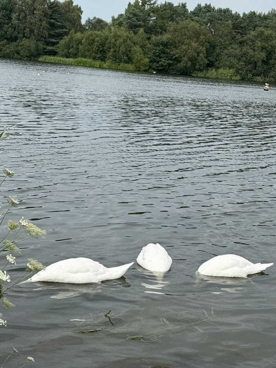 In SPRED we take time to look deeply to see how God is at work in our life and the lives of our friends. We value the perspective of others, for none of us sees the whole picture. Thank God that in SPRED no one journeys alone.