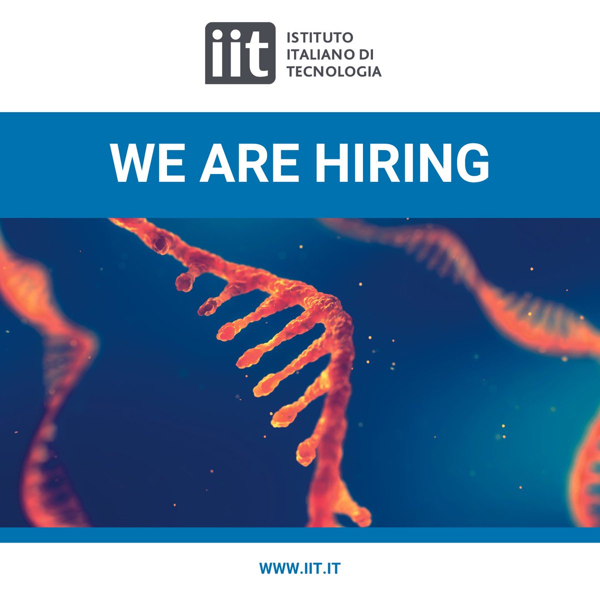 IITalk's tweet image. 🔬 ERASMUS+ Research Internship – Life Technologies @ IIT
We are offering 3 research #internship positions in Life Technologies at IIT for students who hold #Erasmus+ funding.
👉 Check details and apply here iit.it/it/web/guest/f…