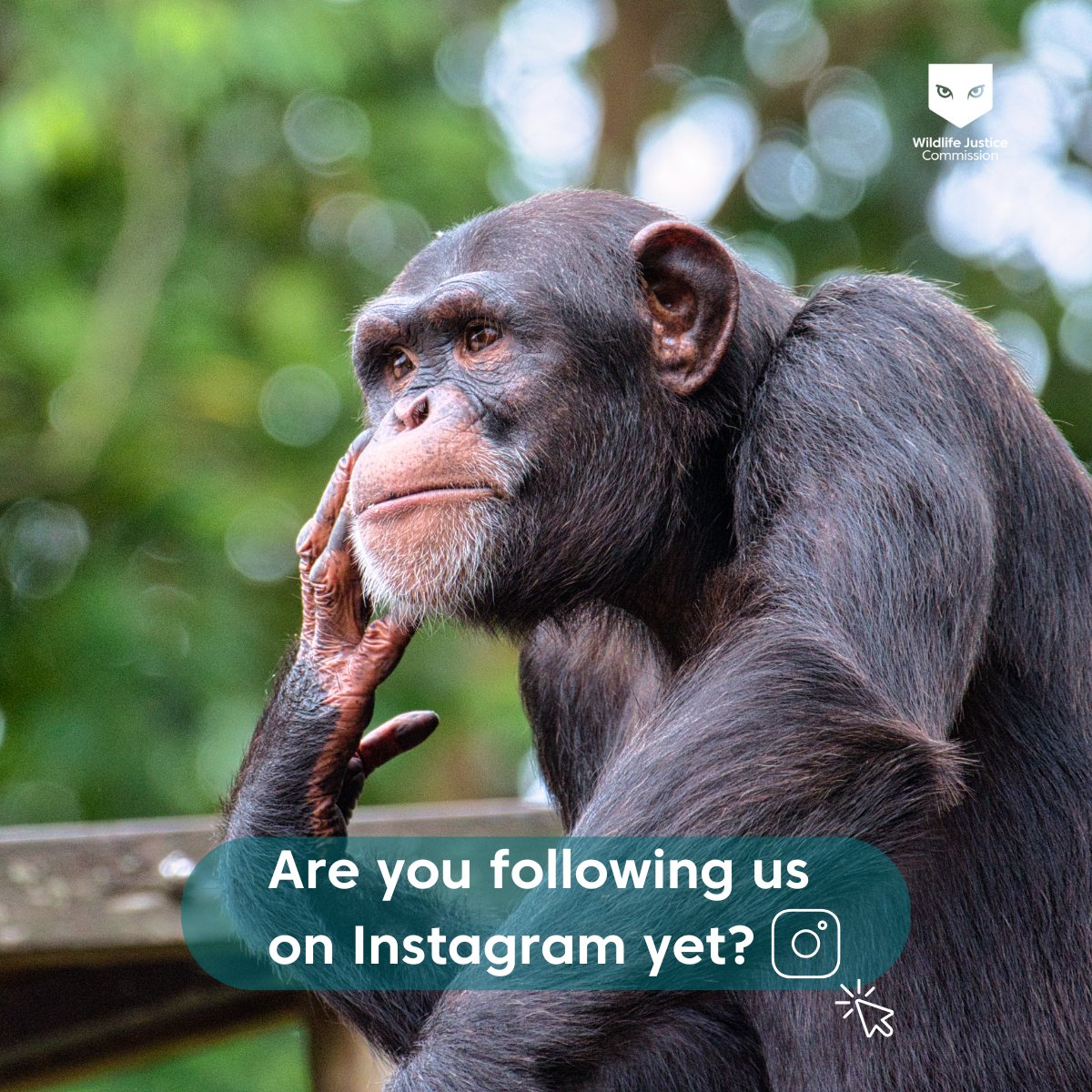 WJCommission's tweet image. Let’s stay connected, wherever you scroll 👉 bit.ly/3UroUtV