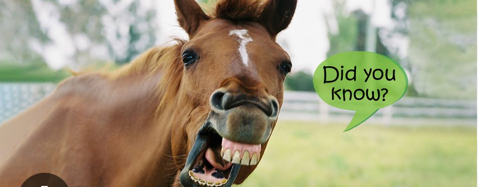 THIS CAME STRAIGHT FROM THE HORSES MOUTH …….

Don’t miss the 
FREE RACE NIGHT next Tuesday 29th July at Ffos Las Racecourse 
Sponsored by your local on course book makers 
To book your FREE tickets visit 
ffoslas-racecourse.co.uk now