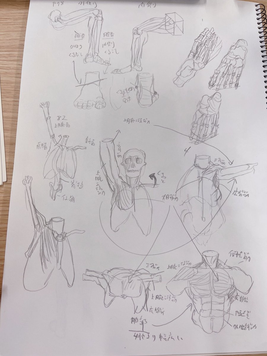 【#日々描く #絵次郎  136日目】2025.3.9
・モルフォ人体 p83
鎖骨は肩甲骨に連動して上がる
肩甲骨は回旋して様々な方向に動く
脛骨(内側くるぶし高)腓骨(外側くるぶし低
・手足 p78
・10分クロッキー

・今日の模写 
怪獣8号より保科宗四郎さん
アニメ2期おめでとうございます!連載お疲れ様でした! 