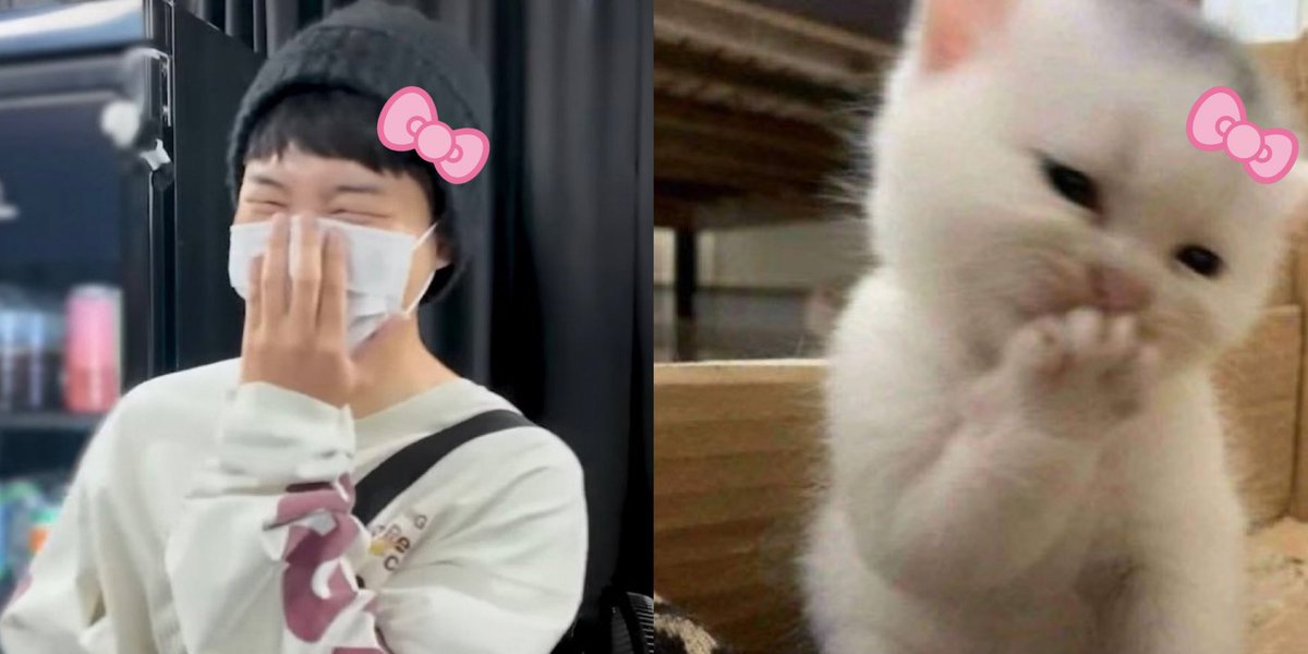 ً (@pjmsamore) on Twitter photo 