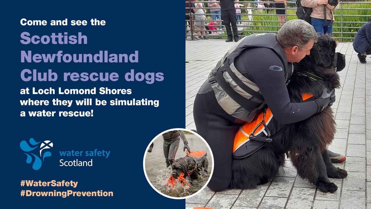 WaterSafetyScot's tweet image. The Scottish Newfoundland Club rescue dogs are about to begin their live water rescue simulation. You don't want to miss it!