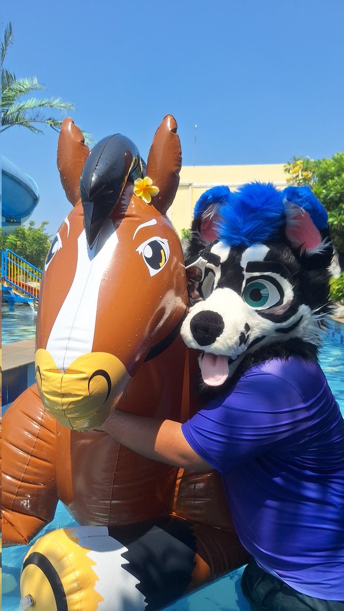 Ickx_Husky's tweet image. Hoss is such a beautiful boi
