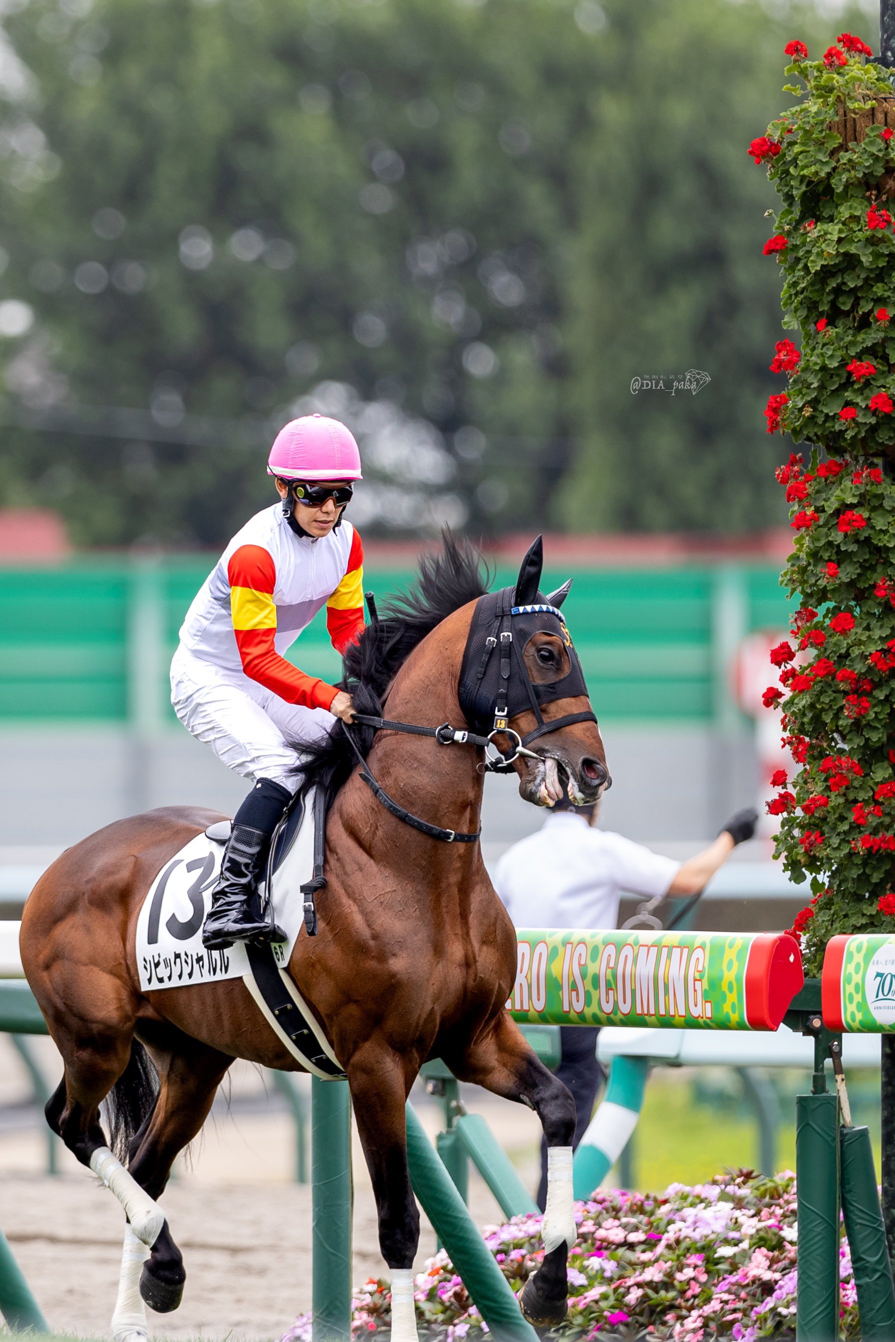 びおびおれ|サトノダイヤモンド ビズー公式】ダイヤモンド SIクラスアップ ファンシーカット K10