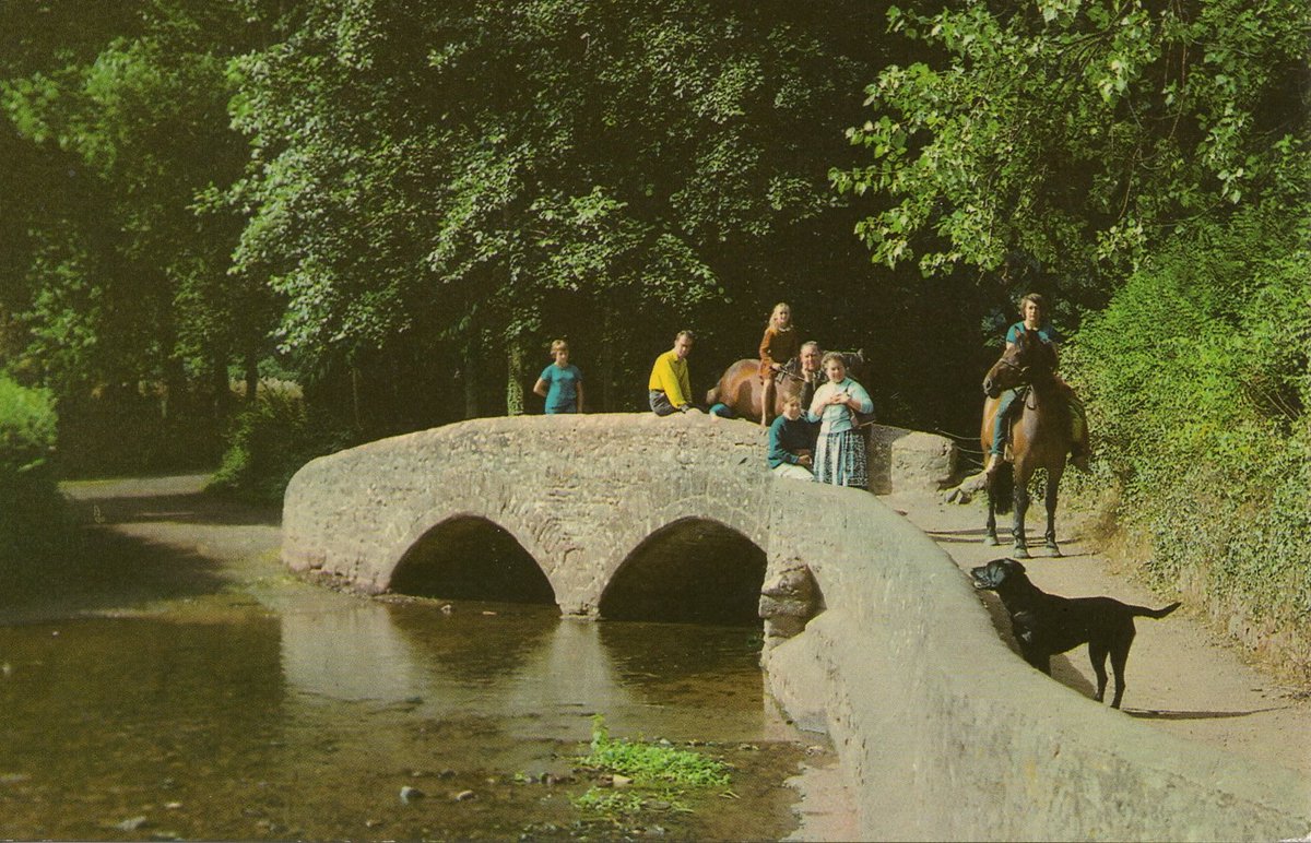 Dunster_Info's tweet image. Happy #ThrowbackThursday to a timeless summer moment at Gallox Bridge 🌞🐴
This vintage postcard captures the simple joys of Dunster — children, horses, and even a curious pup enjoying the warm sunshine on the historic packhorse bridge.
#Dunster #DunsterVillage #DunsterInfo