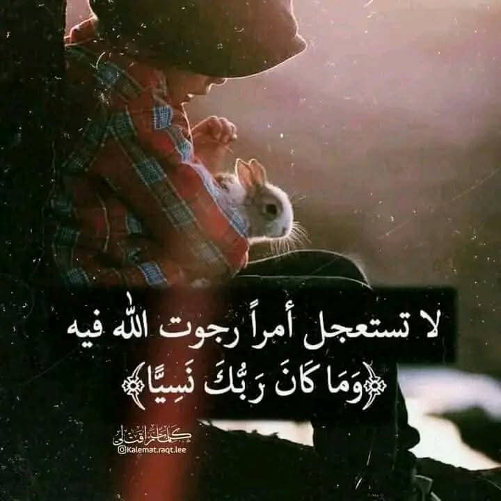 محمد اليعربي (@dc328c898cc04a4) on Twitter photo 