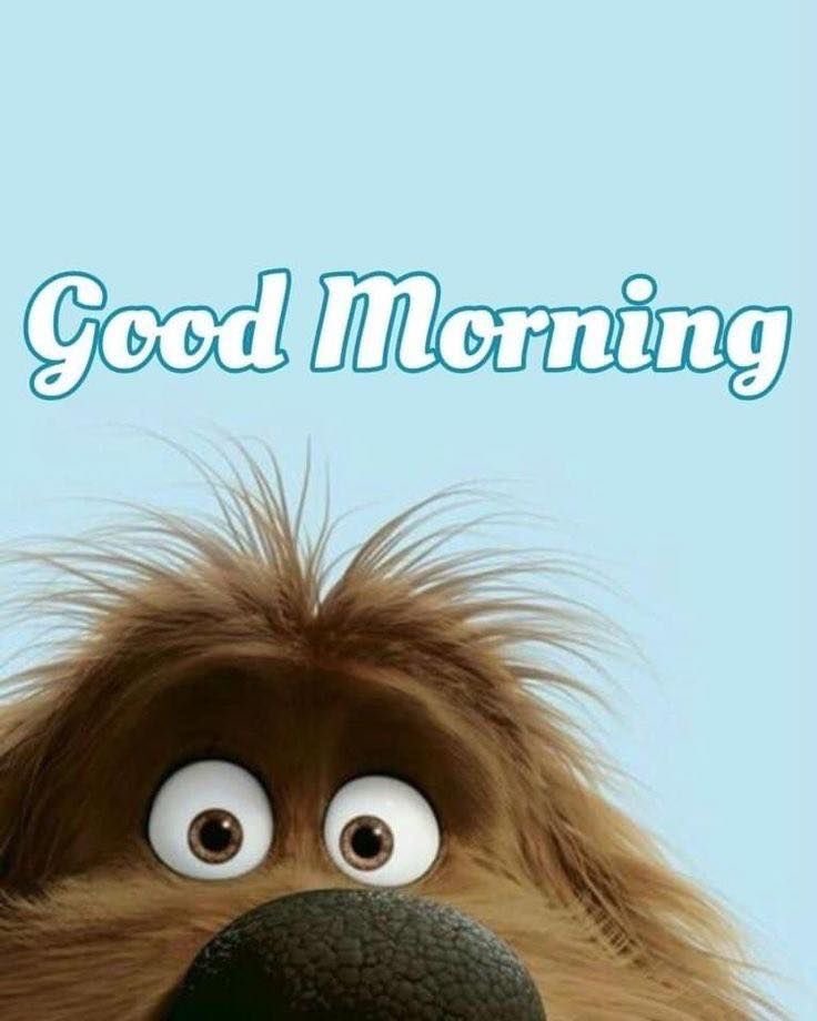 _TheBookishOne's tweet image. Morning y’all