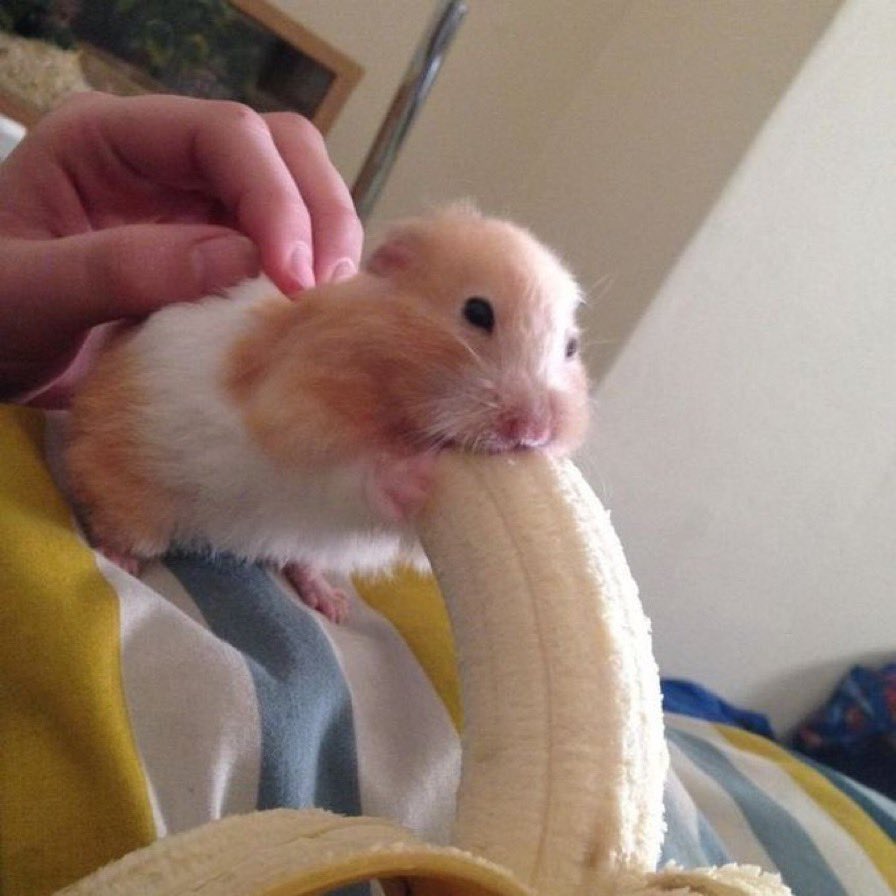 lavendersodaa's tweet image. Haven’t seen my man in two weeks and I’m Seeing him today so u know what that meansss