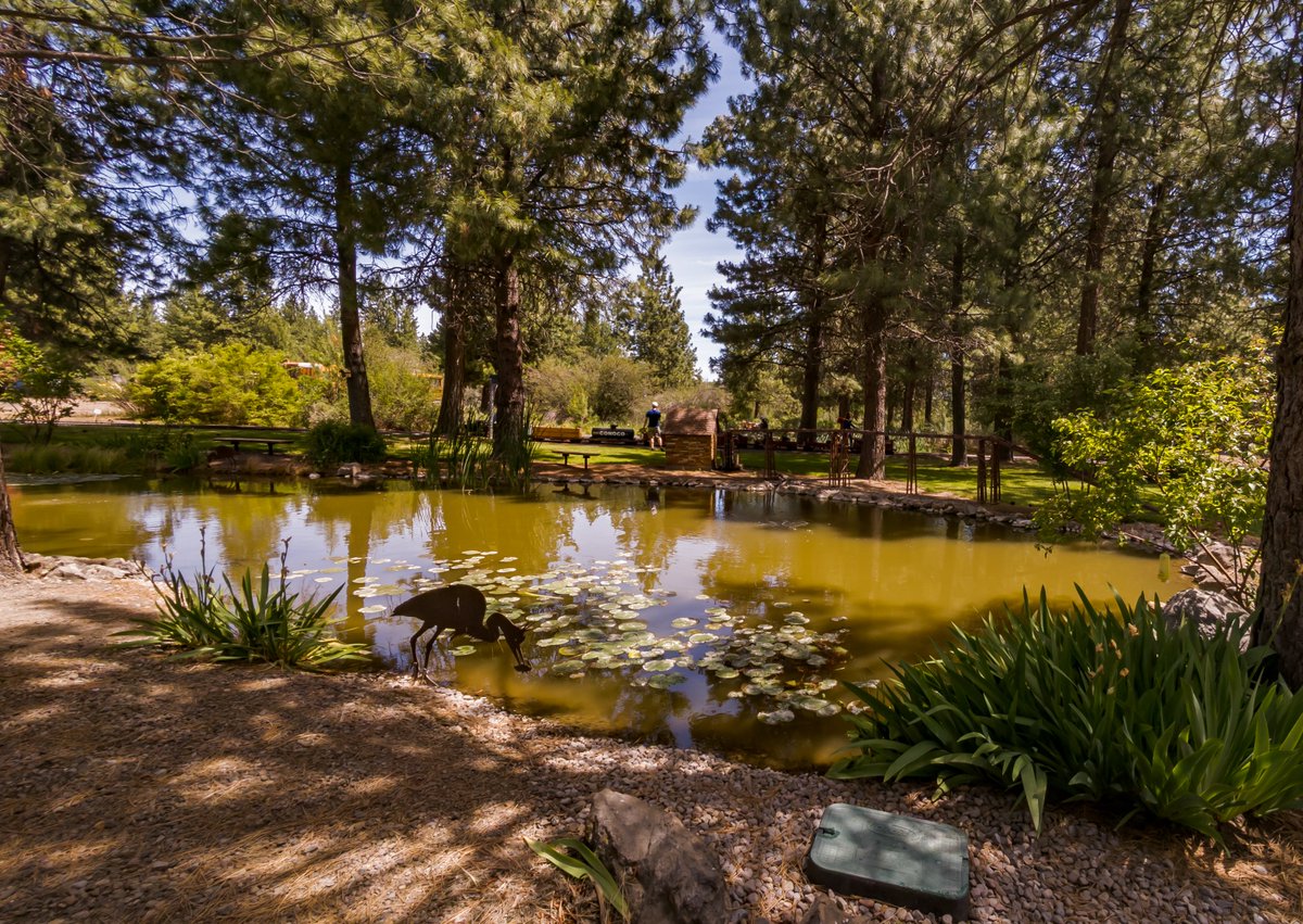 🪵 Dead quiet. Even the birds were holding their breath.
#NatureEscape #PacificMood #SkylineChill