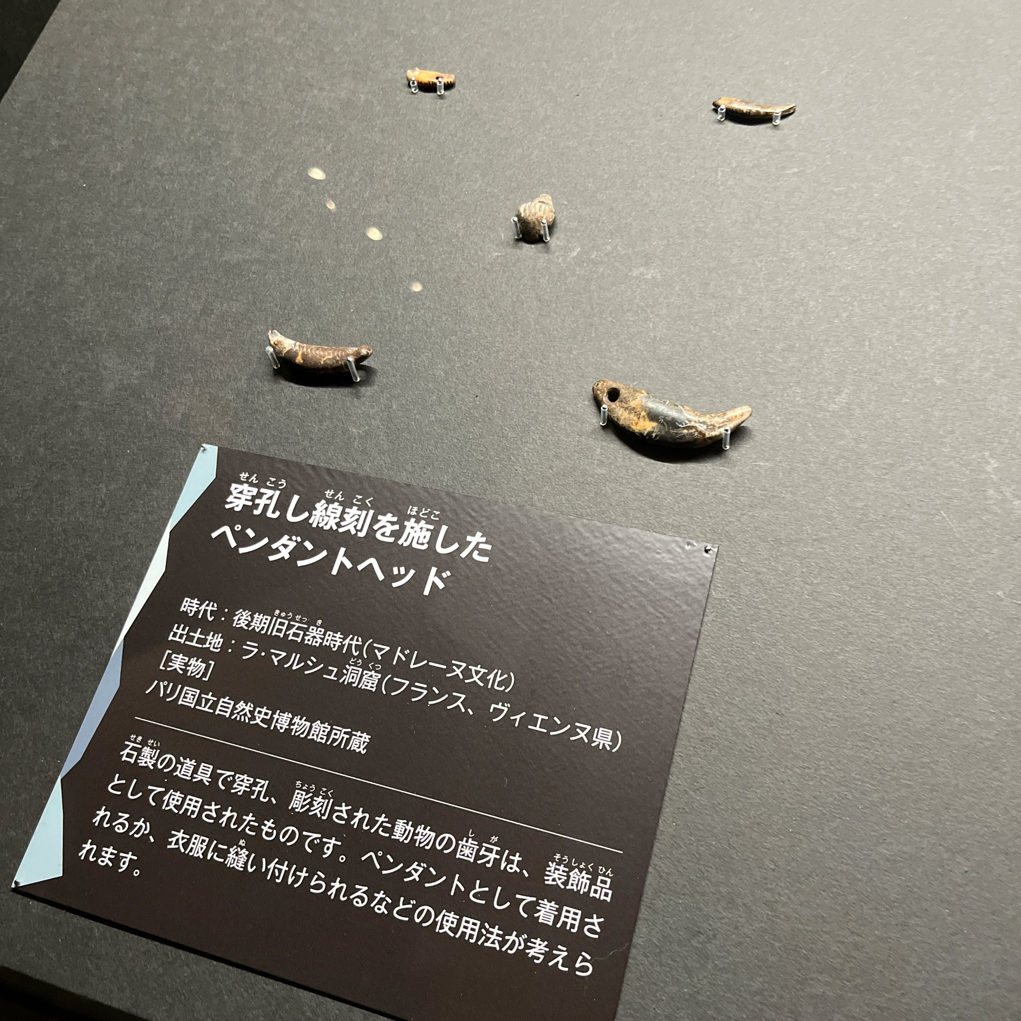 うさこ様　オーダー専用ページ fit=scale-down,w=1200