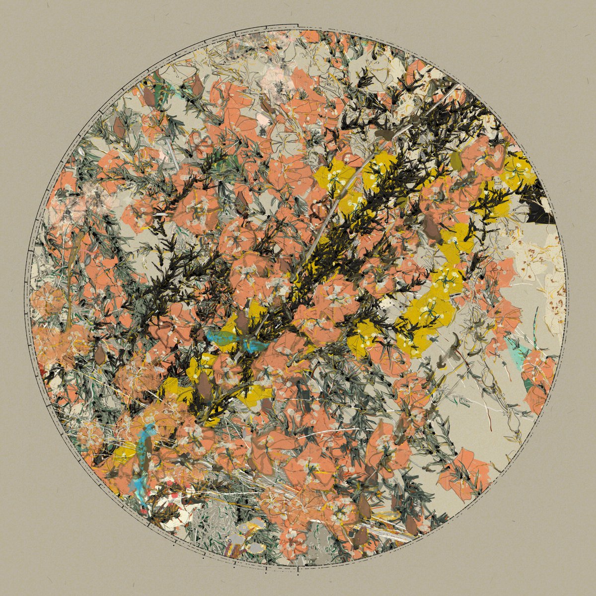 Gosh. This is one of the most gorgeous iterations I've seen yet within 'Polypaths'. 

The orange and yellow flowers, they create a softness reaching through the screen.  

Sudden urge to hike in Appalachia.