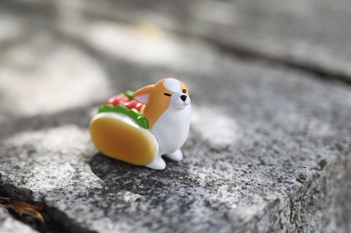 shigemochi_kun's tweet image. 〖通販についてのお知らせ〗
2025年7月26日(土)12時より、Boothにて通販をオープンします!今回は少量となりますが、ちょこんと!シリーズ The Daily Corgをランダム販売します☺️こちらの今後の販売の予定はありませんので、よかったらチェックしてみてください🙇♀️
-----------------------------…