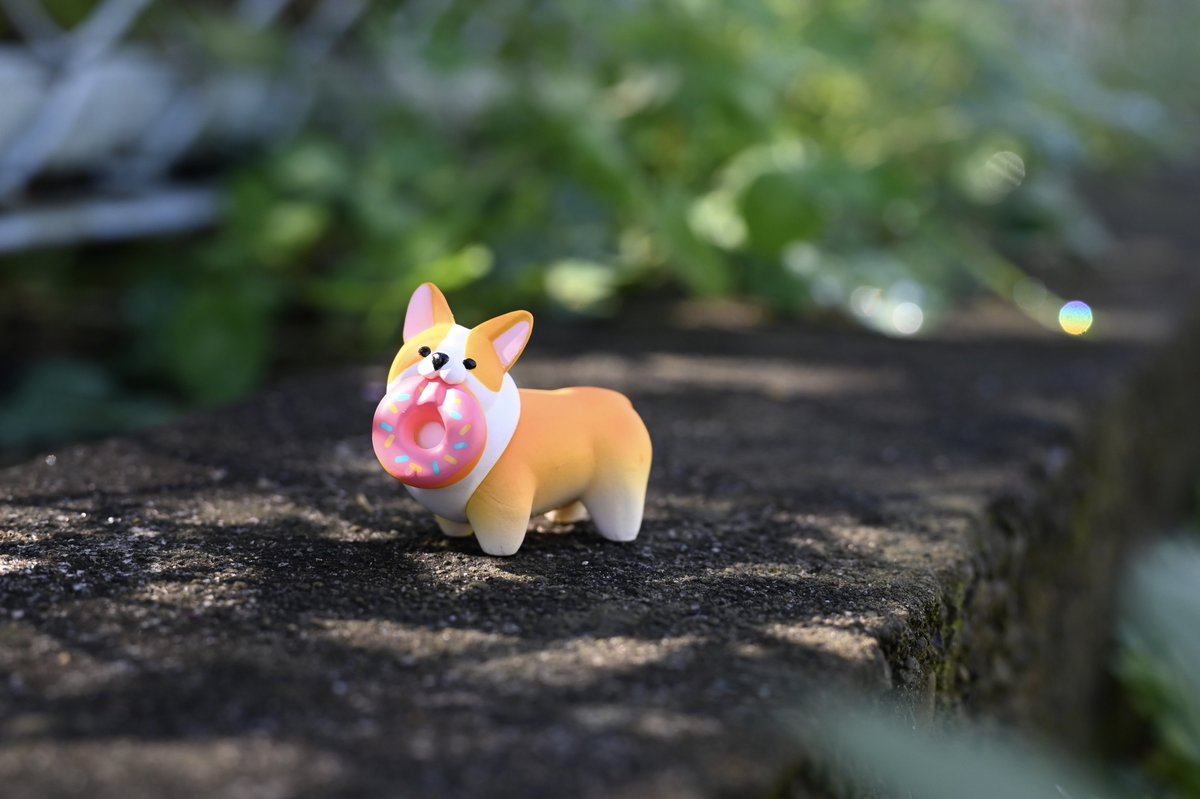 shigemochi_kun's tweet image. 〖通販についてのお知らせ〗
2025年7月26日(土)12時より、Boothにて通販をオープンします!今回は少量となりますが、ちょこんと!シリーズ The Daily Corgをランダム販売します☺️こちらの今後の販売の予定はありませんので、よかったらチェックしてみてください🙇♀️
-----------------------------…