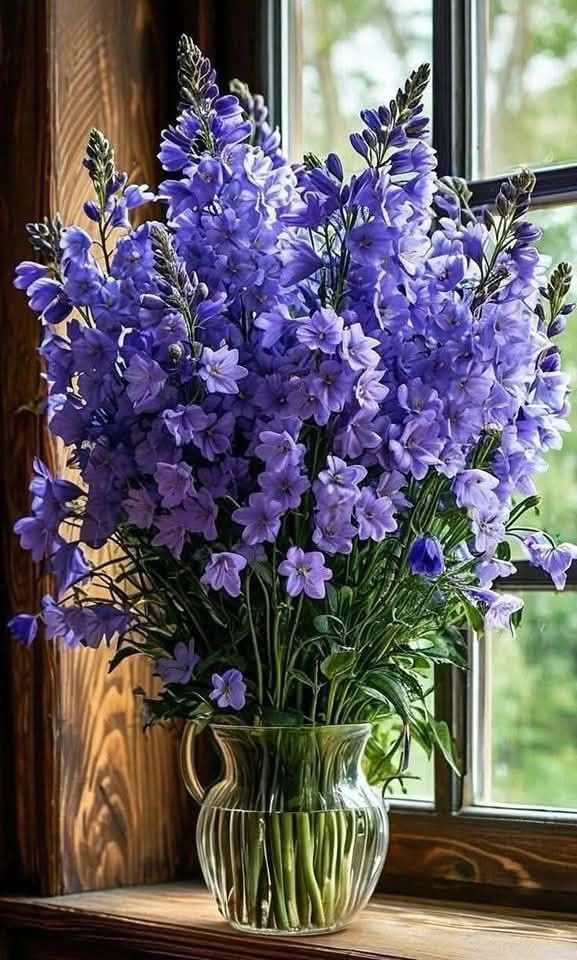 Lovely afternoon everyone 💜