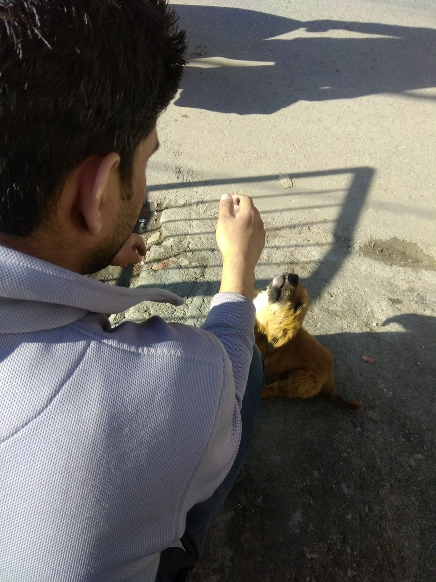 😭 (@spittobacco) on Twitter photo 