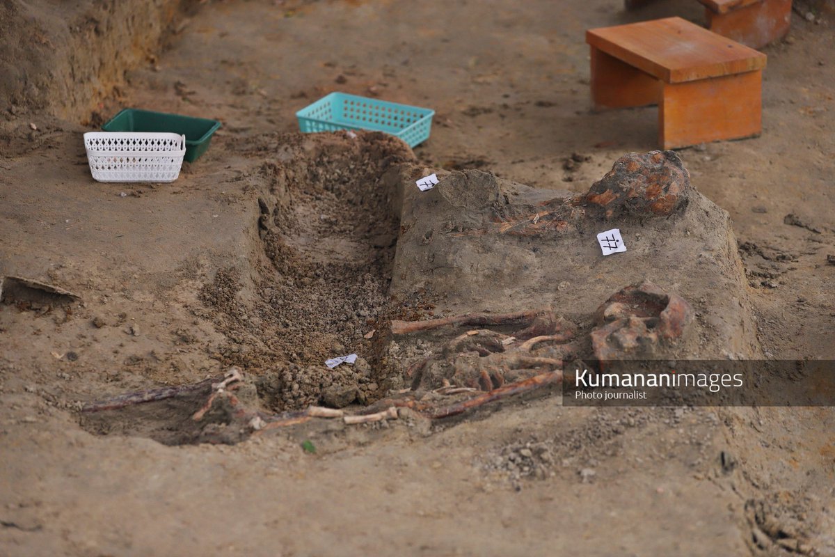 Chemmani Mass Grave Excavation – Phase 2, Day 19

The excavation at the Chemmani mass grave site continued today (July 24). Three more human skeletons were identified, bringing the total number of discovered skeletons to 88, with 76 fully exhumed so far.

#chemmanimassgrave